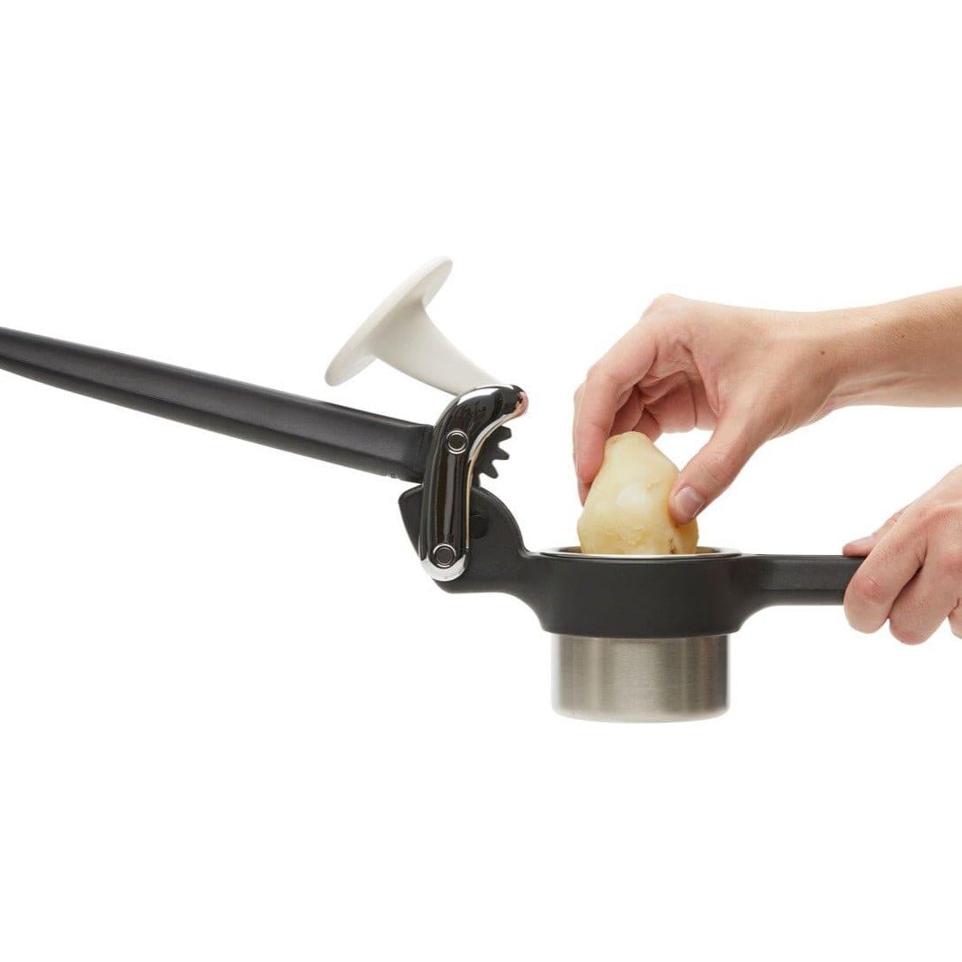 Potatoes Ricer