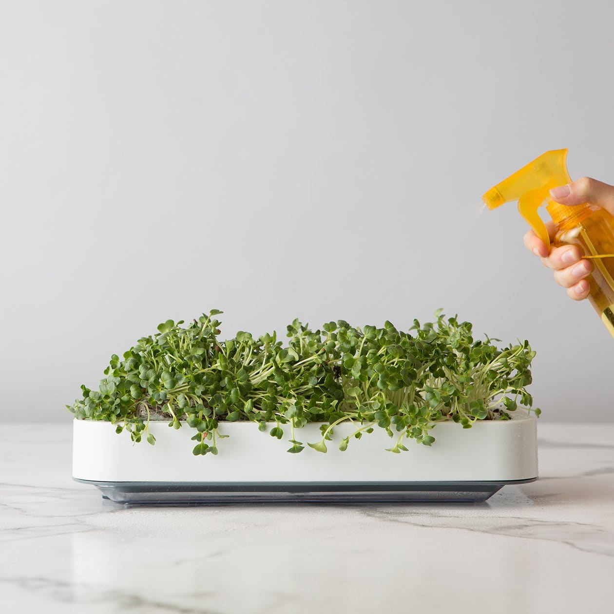 Chef'n Accessories & Tools Microgreens Grower