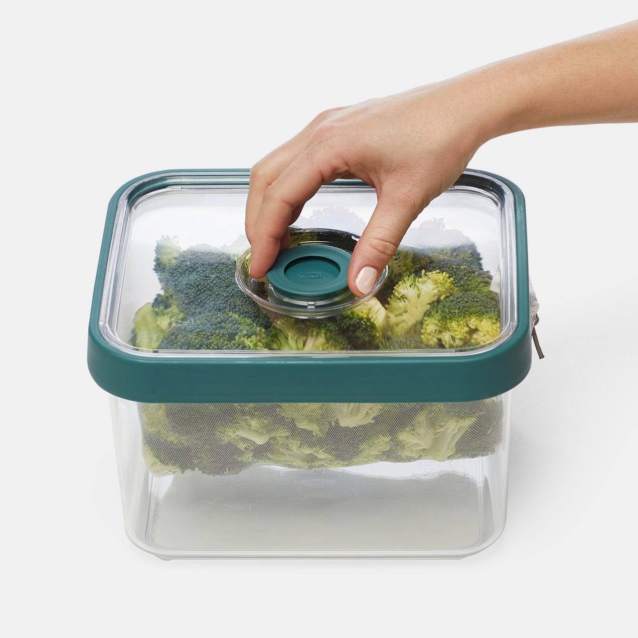 Chef'n Fresh 'n Store Medium Produce Storage Container