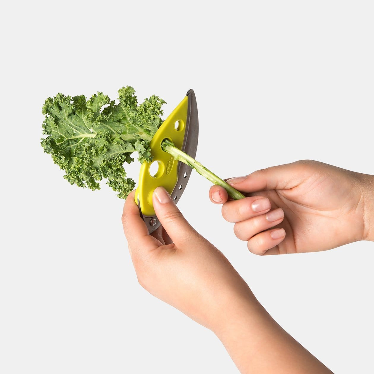 Chef'n Fruit & Vegetable Prep Looseleaf Plus Kale and Greens Stripper