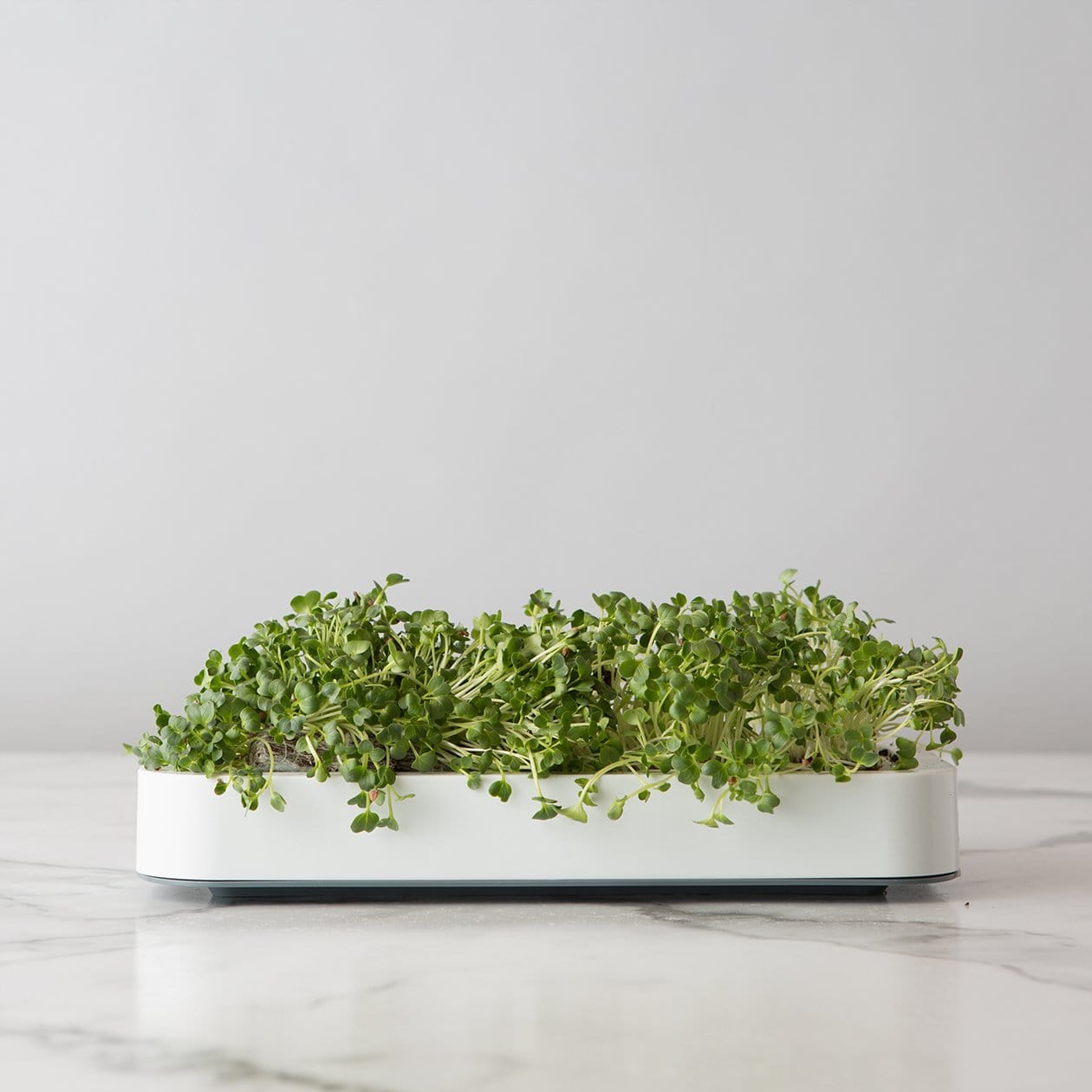 Chef'n Accessories & Tools Microgreens Grower