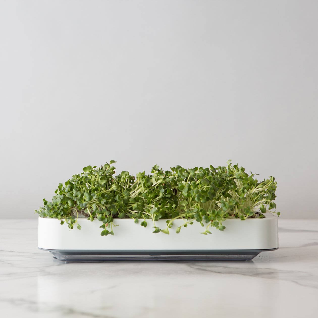 Chef'n Accessories & Tools Microgreens Grower