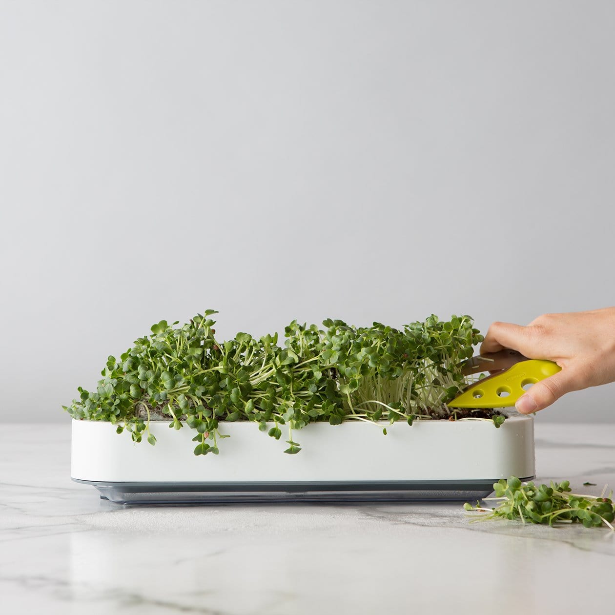 Chef'n Accessories & Tools Microgreens Grower