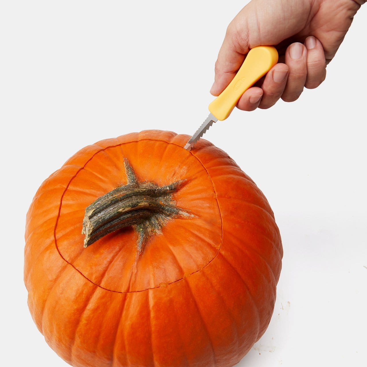 Chef'n Nesting Pumpkin Tool Set