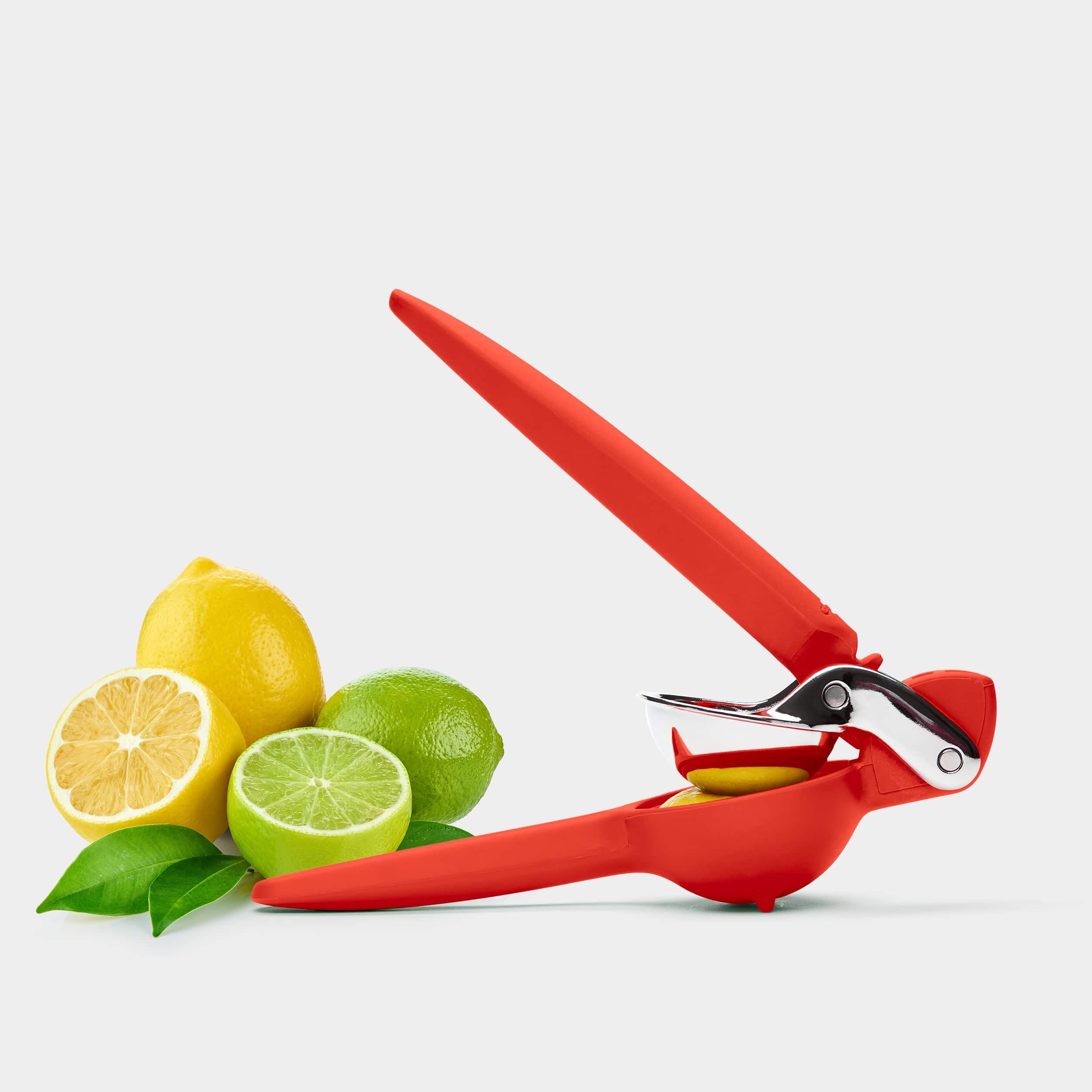 Lemonade Press Lemon Lime Squeezer 2pcs Screw Top Lemon Squeezer