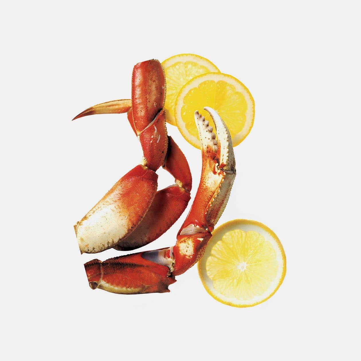 Chef'n Accessories & Tools Wisecracker Crab Cracker